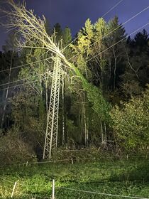 dc8980e8 5991 4e97 a261 34c69f659cb3